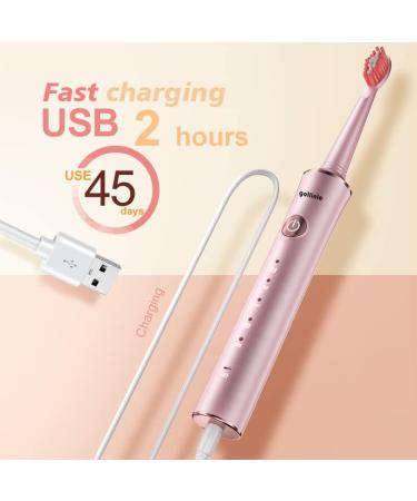Buy Sonic Electric Toothbrush GL42 - Fast Charging USB Green | Best Adult Electric Toothbrush for International Shipping - Buy Online on GoSupps.com