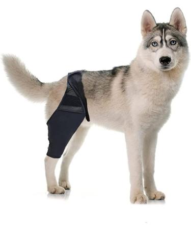 CORHAD Pet Injury Knee Puppy Brace Elbow and Knee Pads Dog Knee Cover Butter Care L As Shown - Buy Online on GoSupps.com