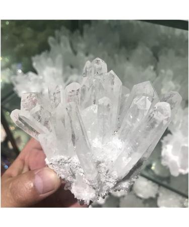 400-700g Quartz Crystal Clear Quartz Cluster Brazil Natural Quartz Home Collections 400-500g - Buy Online on GoSupps.com