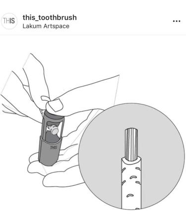 Vegan Friendly Natural Teeth Whitening with Miswak Organic Toothbrush Kit - Includes Miswak Cutter Case with Cutter Cap & Storage Tube 2 Chewing Sticks for Fresh Oral Care & a User Manual (Grey) - Buy Online on GoSupps.com