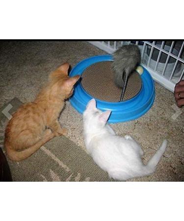 AUOON Cat Scratcher Toy - Interactive Scratch Pad with Ball for Training and Play - Blue - Buy Online on GoSupps.com