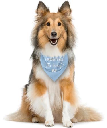 Light Blue Dog Bandana - 'I Thought I Was the Baby' Triangle Scarf for Small to Large Dogs - Perfect Pregnancy Announcement Accessory - Buy Online on GoSupps.com