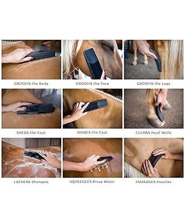 Original for Horses 6-in-1 Shedding Grooming Massage Horses Neat Pet Grooming Brush Horse Brushes for Grooming Strip Hair Gentle Groomer for Horses Horse Tack Easy to Clean - Buy Online on GoSupps.com