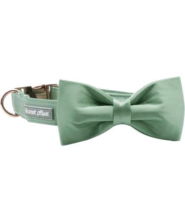 Lionet Paw's Comfortable Silk Dog Collar with Removable Fly - Green Collar for Small Dogs (25-40cm) - 1 Pack Grassy Design - Buy Online on GoSupps.com