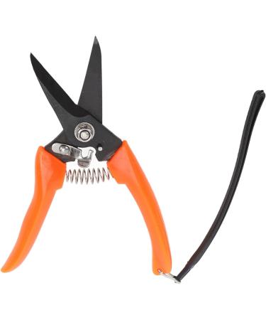 Buy High Carbon Stainless Steel Hoof Shears for Goats | Safe & Durable - International Shipping - Buy Online on GoSupps.com