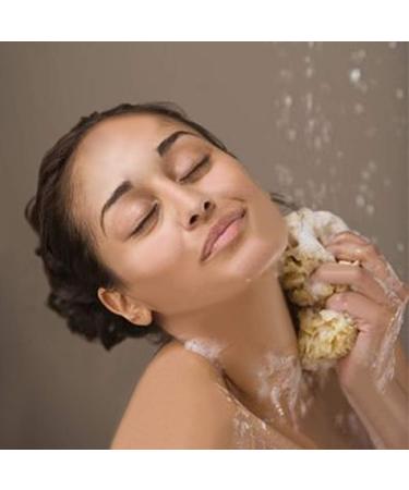 5 Piece Exfoliating Bath Towels Set | Long Nylon Scrubber & Body Washcloth for Deep Cleansing - Perfect for Spa & Home Use - Buy Online on GoSupps.com