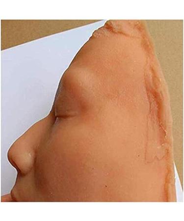 Flees Silicone Model for Face Injection Training - Minimize Invasiveness for Beauty Salons & Medical Schools - Buy Online on GoSupps.com