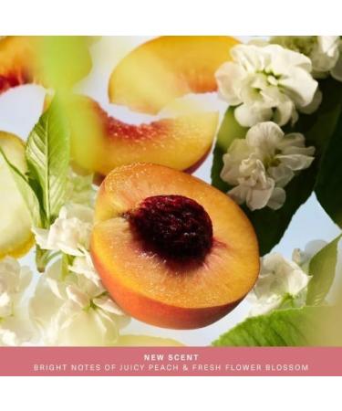 Rare Beauty Mini Find Comfort - Awaken Confidence- Body Essentials Gift Set - Mini Bouncy Body Cream and Mini Body & Hair Fragrance Mist. - Buy Online on GoSupps.com