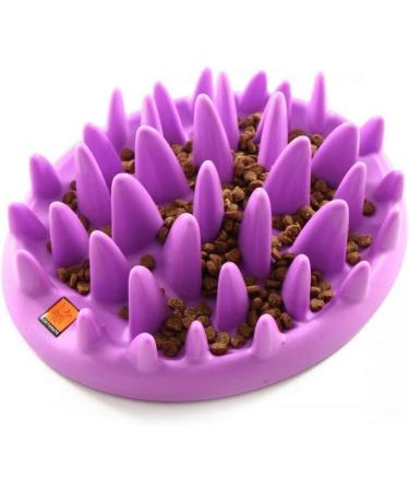The Company of Animals CATCH Interactive Feeder - Purple | Buy Online - Buy Online on GoSupps.com