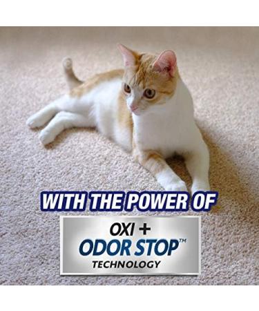 Resolve Pet Carpet Spot & Stain Remover Spray 22oz - Pack of 2 - Buy Online on GoSupps.com