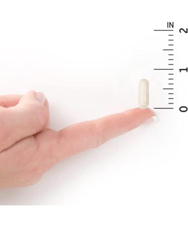 Garden of Life RM-10 Ultra: Immune Support 90 Vegetarian Capsules - Buy Online on GoSupps.com