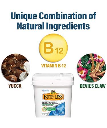 Bute-Less Comfort & Recovery Supplement Pellets | 80 Day Supply for Horses - Buy Online on GoSupps.com