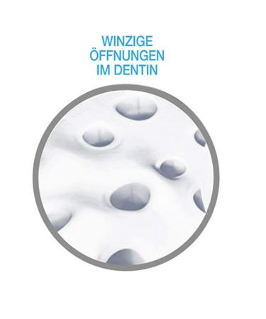 Sensodyne Repair & Protect Original Sensitive Toothpaste 75ml Mint - 2.53 Fl Oz | Pack of 1 - Buy Online on GoSupps.com