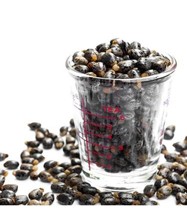 Molivera Organics Castor Oil 16 oz - 100% Pure Cold Pressed Moisturizer for Skin, Hair, Eyelashes - Premium Hair Care Solution - Buy Online on GoSupps.com