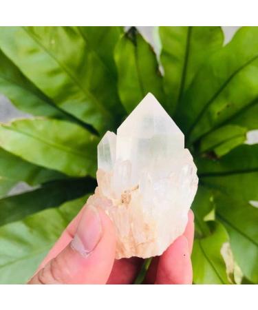 90g-180g Natural Crystal Cluster Skeleton Flower Stone 1pc HOMEZHOU (Color : 1pc 130g-150g) - Buy Online on GoSupps.com