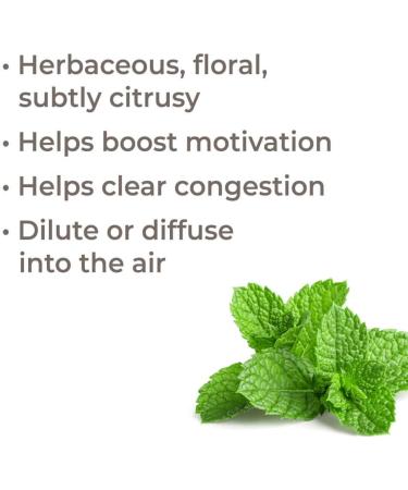 Bergamot Mint Essential Oil 10 mL - 100% Pure Undiluted Therapeutic Grade | Plant Therapy - International Shipping Available - Buy Online on GoSupps.com