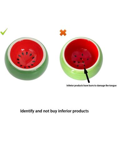 OMEM Hamster Food Bowl Ceramic Prevent being Tipped over Small Animal Water Dish for Guinea Pig Rodent Gerbil Cavy Hedgehog Feeding Bowl (Watermelon) - Buy Online on GoSupps.com