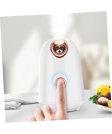 Hemoton Water Replenishing Instrument Steamer Facial Treatment Tool Facial Mist Sprayer Skin Care Nano Face Humidifier Mist Humidifier Face Steamer Facial Steamer - Buy Online on GoSupps.com