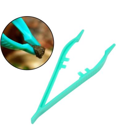 TOYANDONA 40 Pcs Feeding Clamp Reptile Feeding Clip Tree Frog - Buy Online on GoSupps.com