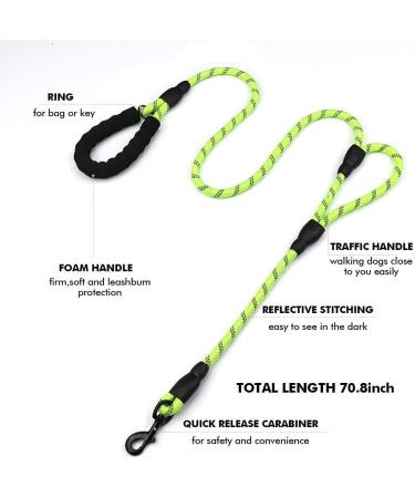 DDSCOLOUR Heavy Duty Dog Leash 5-6ft Long with Double Traffic Handle Reflective Perfect for Medium Large Dog Leash Strong Double Handle Lead Greater Control Safety Training (Green) 6ft Green - Buy Online on GoSupps.com