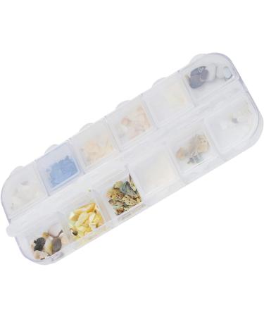 Buy Irregular Shell Slices for Nail Art | Resin Shells & Decorative Pieces | International Shipping - Buy Online on GoSupps.com