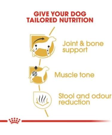 Royal Canin Dachshund Adult 1.5 kg - Buy Online on GoSupps.com