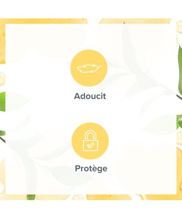 EVOLUDERM - Beauty Oil with Macadamia Oil - Vegetable Oil - Face Body Hair - 100 ml - 99.8% Natural Origin - Vegan - Made in France - Buy Online on GoSupps.com