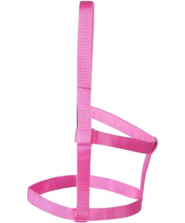 Buy PFIFF 102920 Joky Halter for Shetty - Nylon Pink Pasture Paddock No Fittings | International Shipping - Buy Online on GoSupps.com