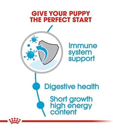 Royal Canin Medium Puppy Complete Dry Food 10kg - Buy Online on GoSupps.com