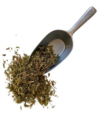 Herbal tea Lycopod plant 1 KILO Lycopodium clavatum. - Buy Online on GoSupps.com