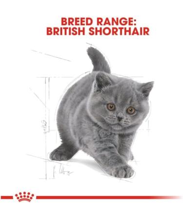 Royal Canin British Shorthair Kitten Complete Dry Cat Food 3 x 400g - Buy Online on GoSupps.com