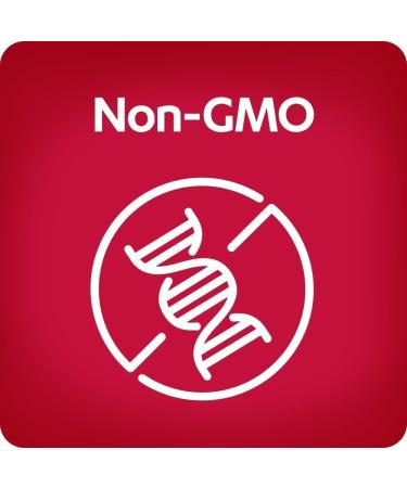 AZO Cranberry Urinary Tract Health Supplement, 1 Serving : 1 Glass of Cranberry Juice, Sugar Free Cranberry Pills, Non-GMO, 3 Month Supply, 100 Softgels (Pack of 2) Softgels 100 Count (Pack of 2) - Buy Online on GoSupps.com