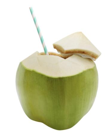 Wilderness Poets Instant Coconut Water Powder 4 oz - Freeze Dried Hydration - Buy Online on GoSupps.com