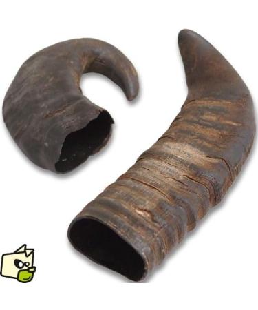 Buy TX-27742 Buffalo Chewing Horn Medium M (1 Pack) - Natural Chew for Dogs | Eco-Friendly Pet Supplies - Worldwide Shipping - Buy Online on GoSupps.com