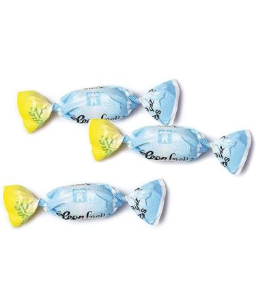  Pastiglie Leone Leonsnella Sugar Free Sweets with ANICE Pack of 500 g No Colouring and Gluten Free Sweet with Isomalt Maltitia Lion - Buy Online on GoSupps.com