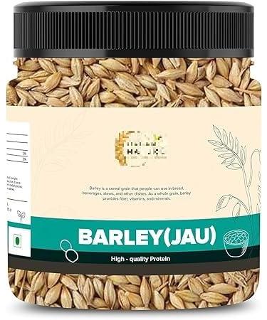REQ Barley Seeds 250 Grams