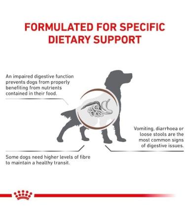 Royal Canin Veterinary Gastrointestinal High Fibre Mousse - 12 x 410g | Digestive Support for Adult Dogs | High Fibre Diet | 4.92kg Pack - Buy Online Internationally - Buy Online on GoSupps.com