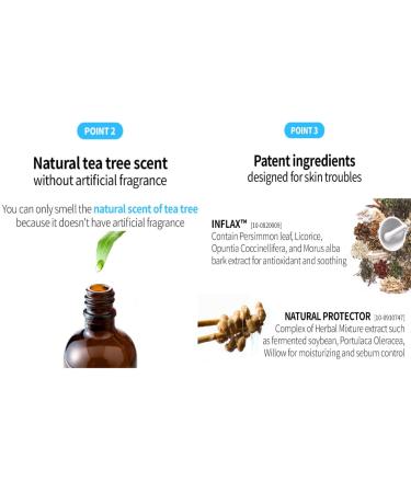 Buy The Plant Base AC Clear Magic Gel 30ml | CICA Trouble Gel with 78% Centella Asiatica | Korean Skincare for Spot Treatment | International Shipping - Buy Online on GoSupps.com