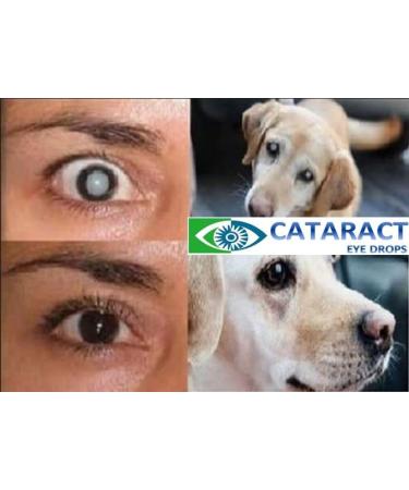Cataract Clear 1 x 10ml bottle of Superb Proven & holistic treating eye drops for people pets. Contains 4.2% N-Acetyl-Carnosine over 4 times more than most other N-Acetyl-Carnosine based drops. - Buy Online on GoSupps.com