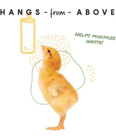 Manna Pro Chick Supplies Treat | Chick Brooder Stick | Chicken Coop Accessories | Starter Kit - 15 oz - Buy Online on GoSupps.com