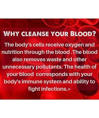 SpeedyVite Natural Blood Cleanser 2 fl oz Liquid Organic Supplement - Buy Online on GoSupps.com