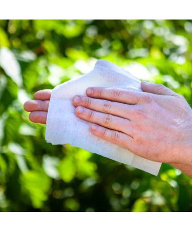 Oars + Alps Antibacterial Hand Sanitizer Wipes with Aloe & Vitamin E - 25 Count - Buy Online on GoSupps.com