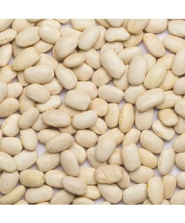 Organic Haricot Beans 2kg - Vegan, GMO-Free, Dried & Certified Organic - Buy Online on GoSupps.com