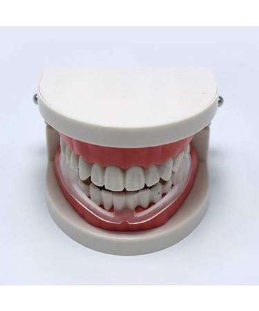 SUPVOX Dental Night Guard for Teeth Grinding - Orthodontic Protector for Kids & Adults - Buy Online on GoSupps.com