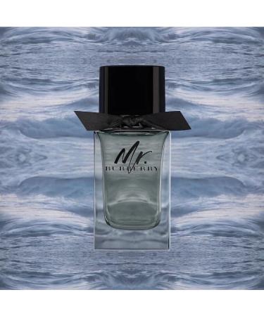 Burberry Mr. Burberry Eau de Toilette Woody Men's Cologne With Notes of Grapefruit Cardamom Vetivier & Guaiac Wood Long Lasting Fragrance 1.6 Ounce (Pack of 1) - Buy Online on GoSupps.com