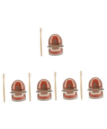 Solustrie 5 sentences for brushing your teeth prosthesis model dental study models brain toy teaching model teeth oral cavity model child health care mold melamine resin