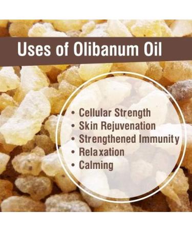 Crysalis Olibanum Oil Cosmetic Grade (15 ml / 0.51 fl oz) - Resinous Botanical Oil for Skin Care Hair Blends & DIY Formulations Olibanum 0.5 Fl Oz (Pack of 1) - Buy Online on GoSupps.com