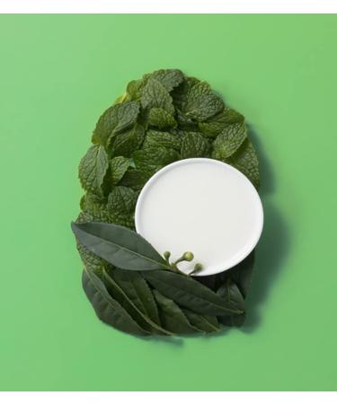 OGX Extra Strength Tea Tree Mint Shampoo & Conditioner - Invigorating, Paraben-Free, 25.4 Fl Oz - Buy Online on GoSupps.com