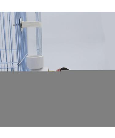130ml Bird Water Dispenser | Automatic Hanging Feeder for Parrots Budgies & Lovebirds | Portable Drink Bottle for Birds - Buy Online on GoSupps.com