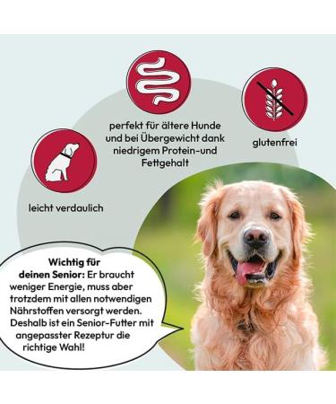 GRAU L'Original Croquettes For Senior Dogs Poultry Pack Of 1 (1 x 3 kg) Gluten Free For Sensitive Senior Dogs - Buy Online on GoSupps.com